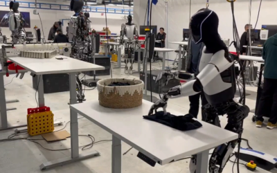 The State of the Art in Humanoid Robots – And Where Are We Going From Here?
